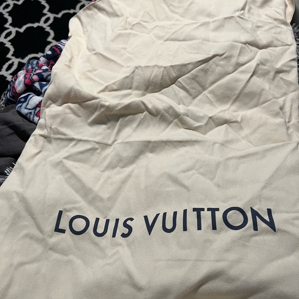 LOUIS VUITTON Large Dust Bag